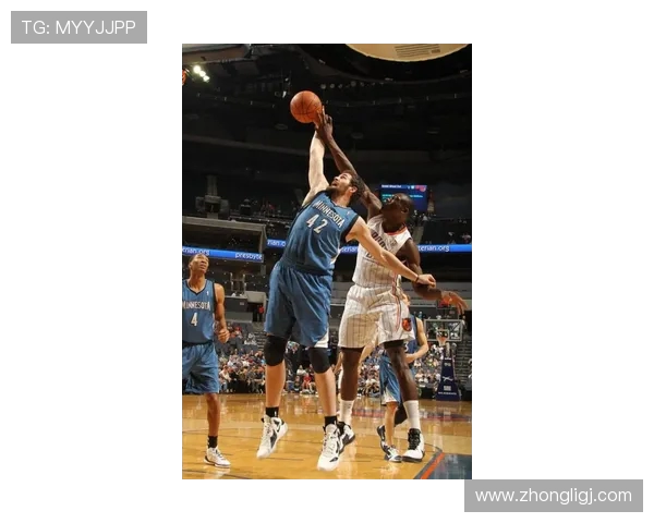 2024年NBA赛季封盖排行榜揭示联盟护框核心更替动态